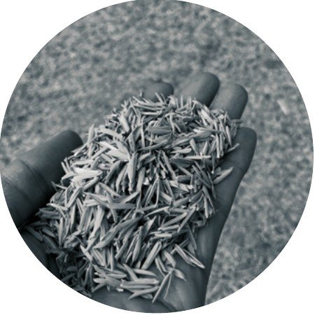 Agri-fibre raw material in hand